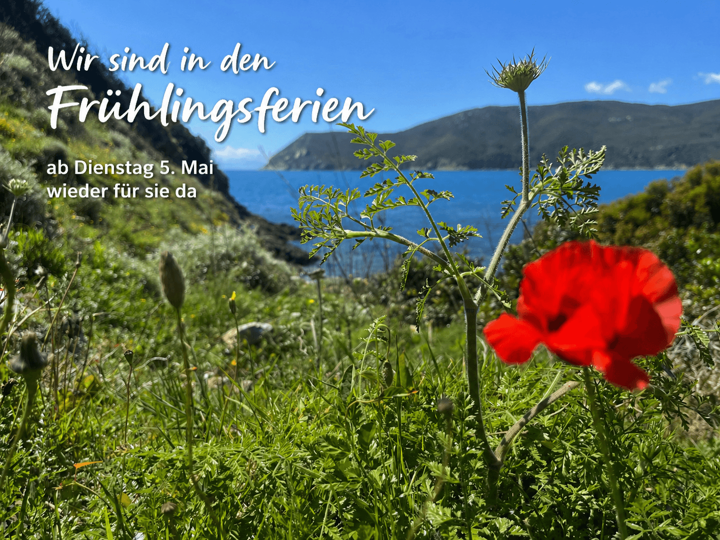 ChatGPT Image 25. Apr. 2026, 12_00_13.png